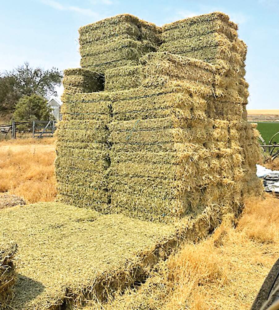 Approximately three tons of hay stolen - The Ritzville Adams County Journal