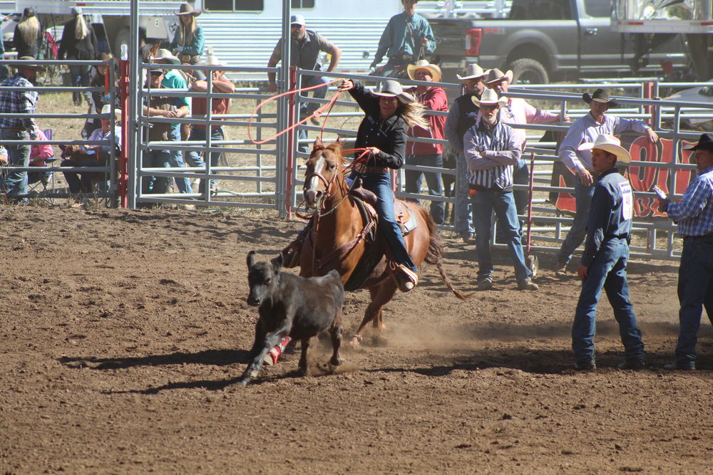 Hennings finishes fall season in high school rodeo - The Ritzville ...